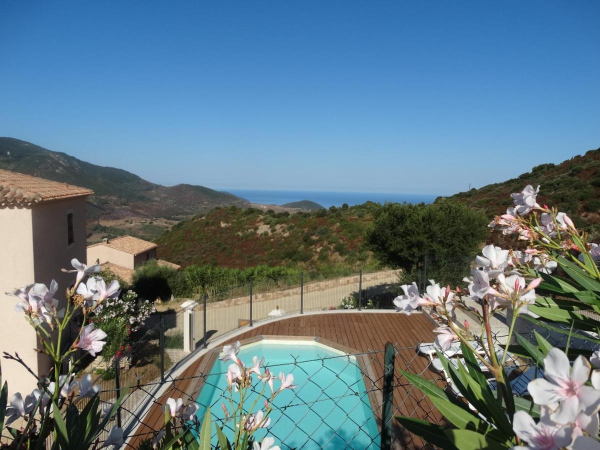 Gites Sassone, Vue Panoramique Sur Ajaccio Et La Mer Alata Kültér fotó